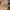 Carhartt Vintage Hat Pria Tan