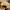 Carhartt Vintage Hat Pria tan photo 3