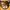 Carhartt Vintage Hat Pria tan photo 4