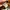 Carhartt Vintage Hat Pria tan photo 5
