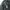 Casual Bomber jacket Pria black photo 5