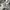 VANS Streetwear Sneakers Pria white black photo 1