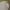 Benjamin Barker Luxury Minimalist Casual shirt Pria white blue photo 2