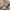 Vintage Streetwear Sweater Pria tan black photo 5