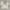 COLORBOX Vintage Luxury Crop top Wanita multicolor photo 3