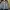 Casual Bomber jacket Pria multicolor photo 6