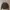 Avirex Streetwear Casual Bomber jacket Pria black photo 1