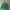Japanese brand Streetwear Casual Denim jacket Pria green photo 1