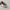 Onitsuka Tiger Casual Casual shoe Pria white black photo 3