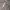 Luxury Avant Garde Blazer Wanita white photo 2