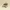 New Balance Streetwear Sportswear Sneakers Pria Tan
