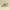 New Balance Streetwear Sportswear Sneakers Pria Tan