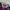 Sportswear Casual Windbreaker Pria multicolor photo 4