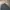 Casual Harrington jacket Pria black gray photo 4