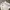 Jean-Michel Basquiat Streetwear Leather jacket Pria white cream photo 4