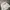 Jean-Michel Basquiat Streetwear Leather jacket Pria white cream photo 3