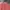 Guess Casual Hoody Pria red photo 3