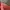 Guess Casual Hoody Pria red photo 7