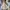 Vintage Casual Harrington jacket Pria tan khaki photo 2
