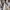 Vintage Casual Harrington jacket Pria tan khaki photo 1