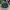 Vintage Casual Harrington jacket Pria navy photo 2