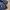 Vintage Casual Harrington jacket Pria navy photo 5