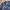 Vintage Casual Harrington jacket Pria navy photo 4