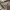 Lee Cooper Casual Jumper Pria brown gray photo 6