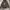 Lee Cooper Casual Jumper Pria brown gray photo 1