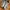 New Balance Streetwear Sportswear Sneakers Pria gold silver photo 3