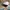 Casual Hat Pria white photo 2
