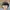Beanpole Gorpcore Hat Pria black photo 3