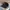 Beanpole Gorpcore Hat Pria black photo 2