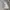 ASOS Luxury Casual Suit Pria white photo 8
