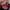 Zephyr D'Urban Casual Hat Pria red photo 5