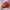 Zephyr D'Urban Casual Hat Pria red photo 1