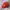 Zephyr D'Urban Casual Hat Pria Red