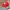 Zephyr D'Urban Casual Hat Pria red photo 2