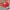 Zephyr D'Urban Casual Hat Pria Red