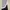 Vintage Coquette Skirt Wanita white black photo 1