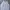 Champion Streetwear Hoody Pria white photo 1