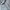 Nike Sportswear Hoody Pria gray photo 2