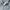 Nike Sportswear Hoody Pria gray photo 3