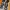 Adidas Streetwear Sportswear Sneakers Pria navy gray photo 4
