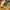 Adidas Streetwear Sportswear Sneakers Pria navy gray photo 3