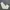 Vintage Sportswear Pria white cream photo 1