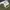 Japanese brand Vintage Casual Casual pants Pria green cream photo 6