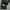 Nike Vintage Sportswear Sweatpants & Joggers Pria black photo 6