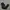 Nike Vintage Sportswear Sweatpants & Joggers Pria black photo 1
