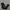 Nike Vintage Sportswear Sweatpants & Joggers Pria Black